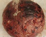 Foto langkah ke 20 dari resep Orange Peel Double Chocolate Sourdough Bread.