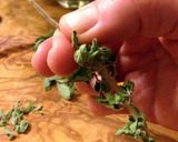 A picture of step 6 of Preserving and Keeping Fresh Herbs.