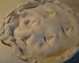 Turkey Pot Pie recipe step 4 photo