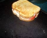 taisen's tomato mushroom grilled cheese recipe step 12 photo