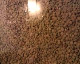 A picture of step 1 of Lentejas (lentils).
