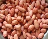સીંગદાણાની ચીકી (Shing Chikki Recipe in Gujarati) રેસીપી સ્ટેપ2ફોટો