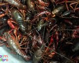 A picture of step 1 of Preparing and Serving Crayfish.