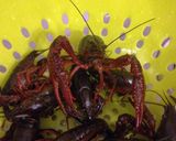 A picture of step 14 of Preparing and Serving Crayfish.