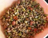 अप्पे अंकुरित(appe ankurit recipe in hindi) रेसिपी चरण 3 फोटो