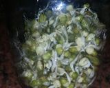 Foto del paso 2 de la receta: Porotos mug germinados