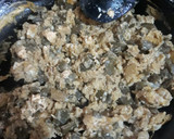 Foto del paso 10 de la receta: Guisado de nopalitos en chile cascabel
