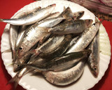 Foto del paso 1 de la receta: Sardinas asadas en el horno, con cebolla roja y Kumato