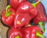 Fordított színű töltött paprika recept fázis 2 fotója