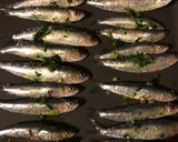 Foto del paso 2 de la receta: Sardinas al horno con ajo y perejil