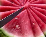 Une image de l'étape 1 de La pastèque 🍉.
