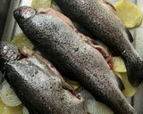 Foto del paso 8 de la receta: Trucha a la Navarra, al horno!