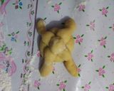 Foto del paso 5 de la receta: Pan de muerto