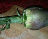 Foto del paso 2 de la receta: Carciofi alla giudia, Alcauciles a la judia