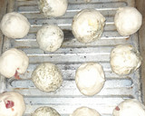 Foto del paso 4 de la receta: Pancitos Saborizados de Cebolla, Salame, Queso y Provenzal