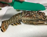 A picture of step 1 of Broiled Lobster.