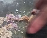 Foto langkah ke 2 dari resep Ayam Goreng Ketumbar.