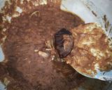 Foto langkah ke 3 dari resep Semur Telur Tahu.
