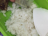 Nasi Goreng Daun Bawang