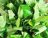 Hình bước làm 1 của món Mực tươi luộc lá lốt