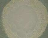 Foto del paso 1 de la receta: Rosquitas