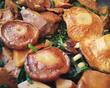 Foto del paso 4 de la receta: Rovellons con espinacas, a la catalana