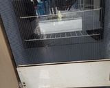Foto langkah ke 9 dari resep Prol Sirsat.