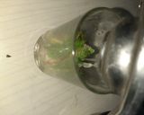 ફોદીના મોઇતો(phudina no mojito in Gujarati) રેસીપી સ્ટેપ2ફોટો