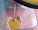 Foto del paso 2 de la receta: Mousse de mango