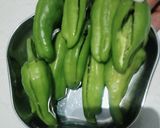 ભરેલા મરચા (Stuffed Marcha Recipe in Gujarati) રેસીપી સ્ટેપ1ફોટો