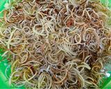 Hình bước làm 4 của món Từ hoa chuối thành gỏi chuối thế nào?
