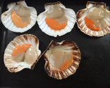 Foto del paso 1 de la receta: Vieiras a la gallega