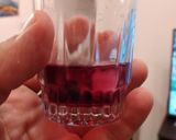 Foto del paso 5 de la receta: Licor casero de arándanos simil patxaran vasco