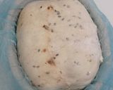 Foto langkah ke 16 dari resep Wijen Jinten Hitam Chili Flakes Cheese Sourdough Bread (Open Bake Method).