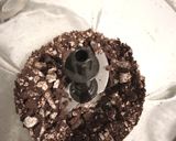 Foto del paso 3 de la receta: Malteada de oreo 🤎