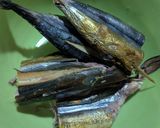 Foto langkah ke 2 dari resep Nasi Gegok Khas Trenggalek.