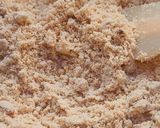 A picture of step 2 of Gond ke Ladoo.