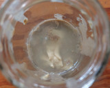 Foto del paso 1 de la receta: Aderezo de tahini y mostaza