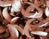 Foto del paso 7 de la receta: Crema de champiñones