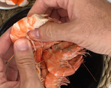 Foto del paso 2 de la receta: Cocktail de gambas