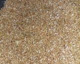 A picture of step 2 of Dry fruit burfi.