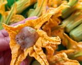 Hình bước làm 3 của món Bông bí nhồi cá thác lác chiên giòn