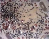 Foto langkah ke 4 dari resep Bubur cincau mutiara.