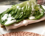 Foto del paso 2 de la receta: Tosta de pavo y lechuga