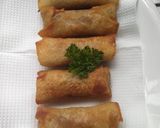 A picture of step 8 of Spring rolls.