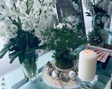 عکس مرحله 5 از دستور هفت سین ۱۴۰۱