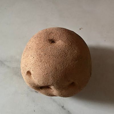 Langkah 1