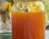 Foto del paso 8 de la receta: Mermelada de Damasco o Albaricoque