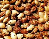 A picture of step 7 of Kicker Pumpkin Seeds.