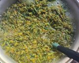 Foto del paso 3 de la receta: CALDO DE CHEPIL (tiaa-lii srscula)